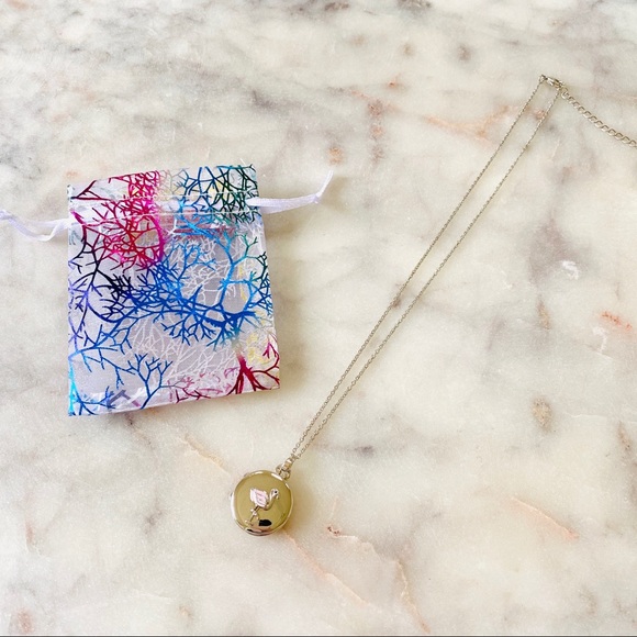 FLAMINGO Silver Locket Choker Necklace - Picture 2 of 6